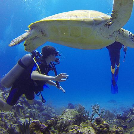 Roxon Red Sea Eilat - Adults Only Hotel ภายนอก รูปภาพ